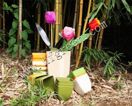 Biodegradable Plant Fiber Flower Pot